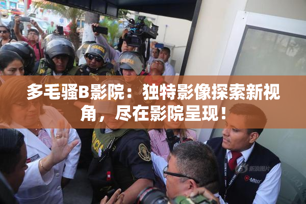 多毛骚B影院：独特影像探索新视角，尽在影院呈现！