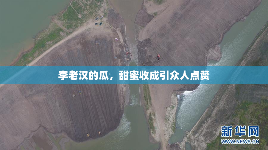 李老汉的瓜，甜蜜收成引众人点赞