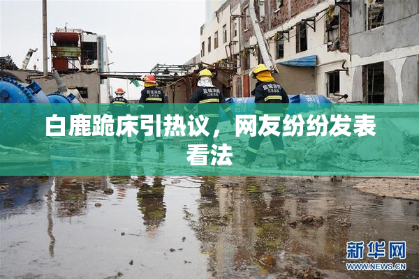 白鹿跪床引热议，网友纷纷发表看法