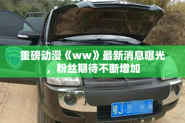 重磅动漫《ww》最新消息曝光，粉丝期待不断增加