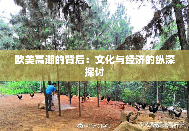 欧美高潮的背后：文化与经济的纵深探讨