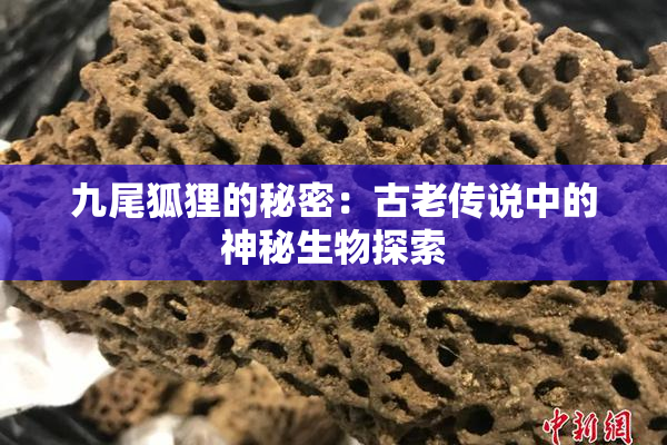 九尾狐狸的秘密：古老传说中的神秘生物探索