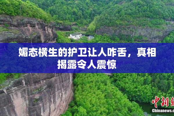 媚态横生的护卫让人咋舌，真相揭露令人震惊