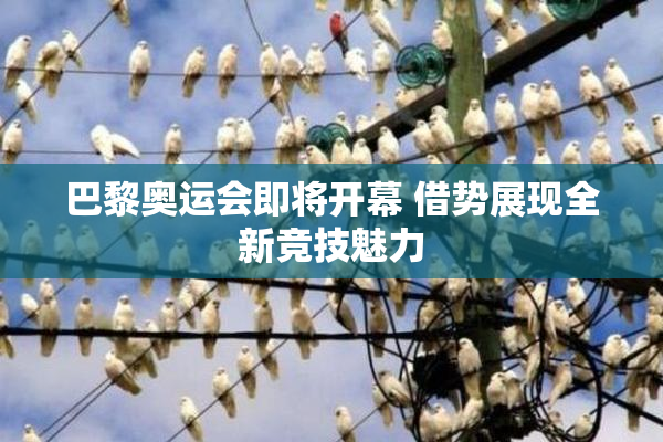 巴黎奥运会即将开幕 借势展现全新竞技魅力