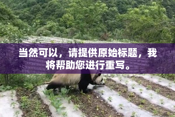 当然可以，请提供原始标题，我将帮助您进行重写。