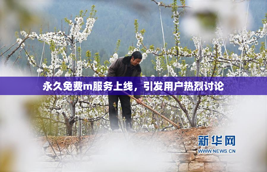 永久免费m服务上线，引发用户热烈讨论