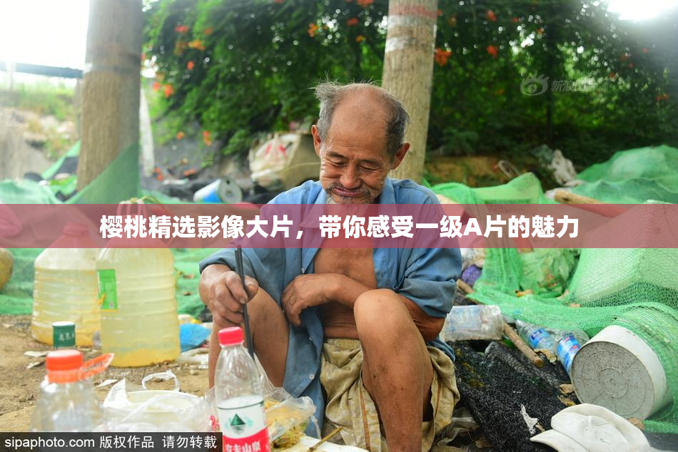 樱桃精选影像大片，带你感受一级A片的魅力