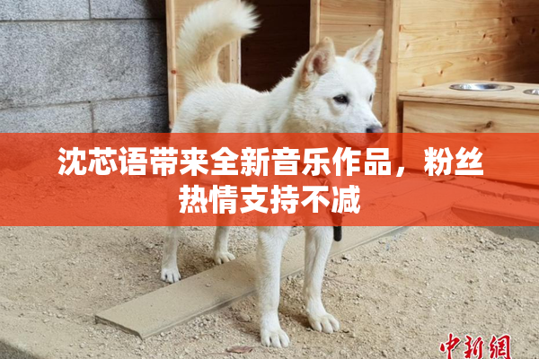 沈芯语带来全新音乐作品，粉丝热情支持不减