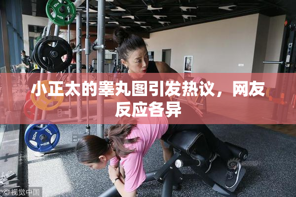 小正太的睾丸图引发热议，网友反应各异