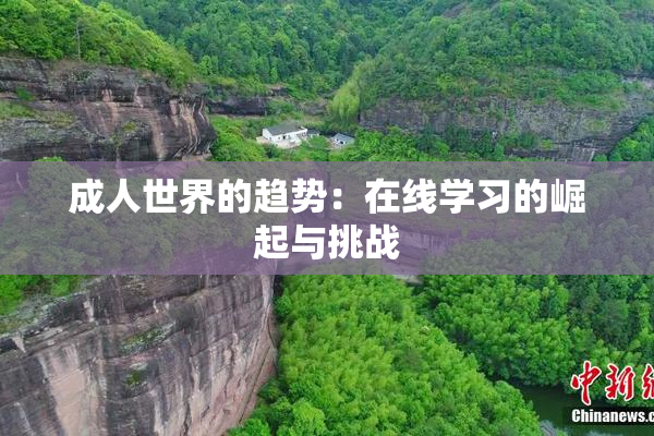 成人世界的趋势：在线学习的崛起与挑战