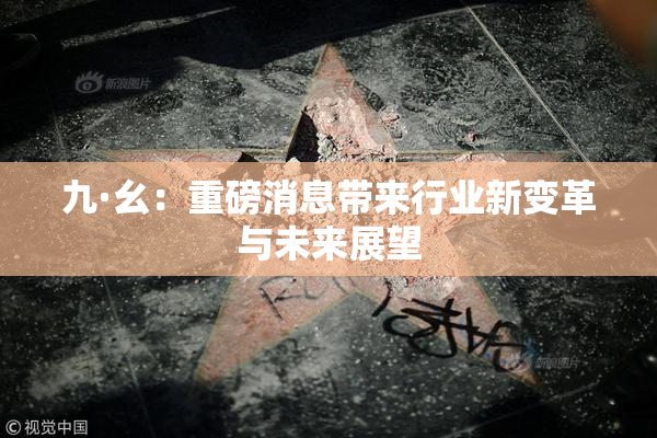 九·幺：重磅消息带来行业新变革与未来展望