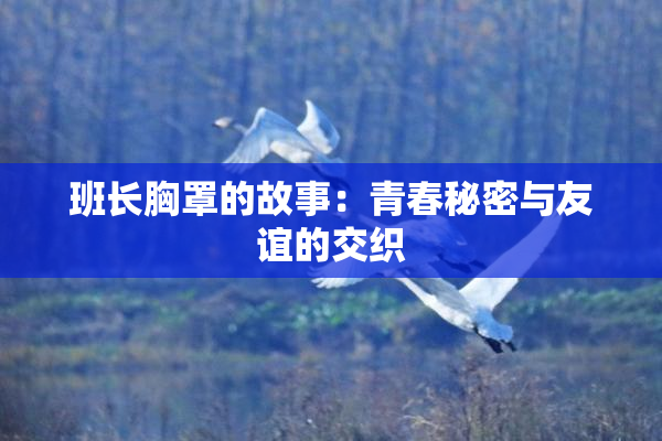 班长胸罩的故事：青春秘密与友谊的交织
