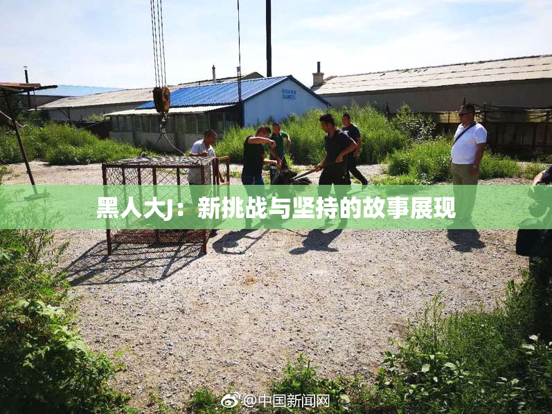 黑人大J：新挑战与坚持的故事展现