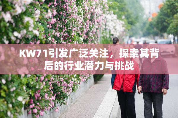 KW71引发广泛关注，探索其背后的行业潜力与挑战