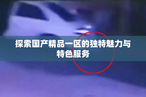 探索国产精品一区的独特魅力与特色服务
