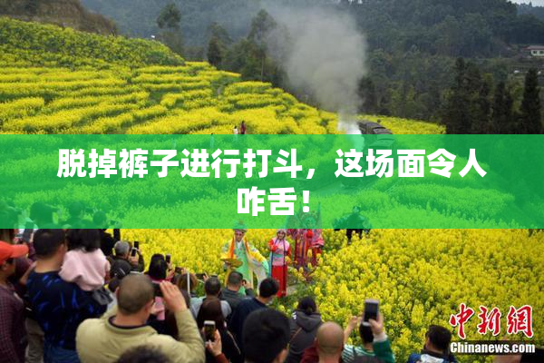 脱掉裤子进行打斗，这场面令人咋舌！