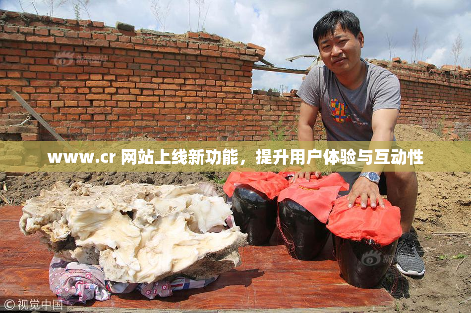www.cr 网站上线新功能，提升用户体验与互动性