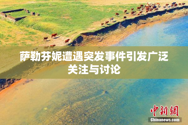 萨勒芬妮遭遇突发事件引发广泛关注与讨论