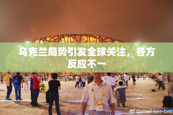乌克兰局势引发全球关注，各方反应不一