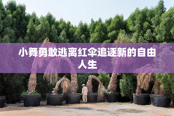 小舞勇敢逃离红伞追逐新的自由人生