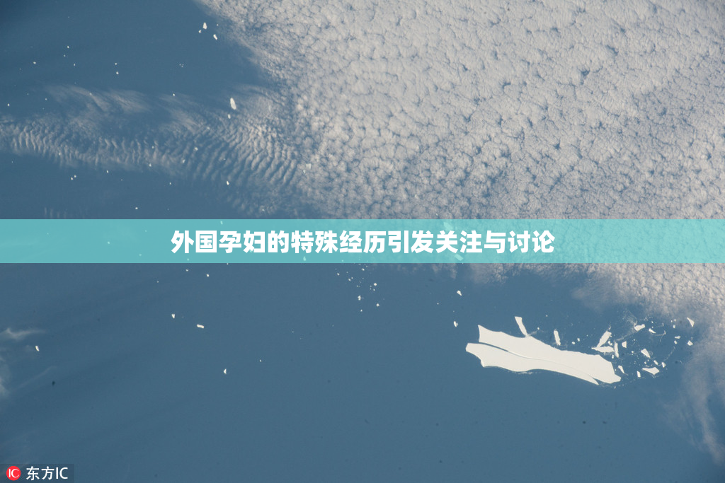 外国孕妇的特殊经历引发关注与讨论