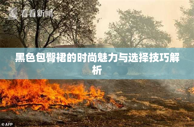 黑色包臀裙的时尚魅力与选择技巧解析