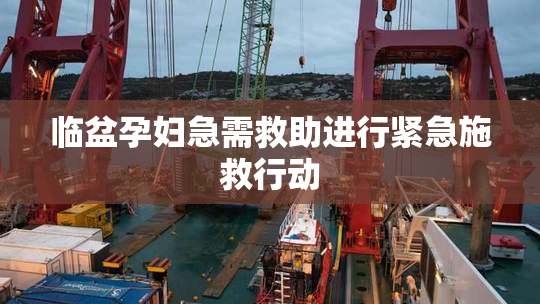 临盆孕妇急需救助进行紧急施救行动