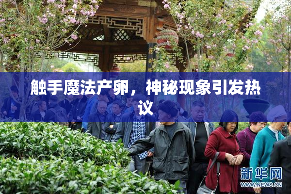 触手魔法产卵，神秘现象引发热议