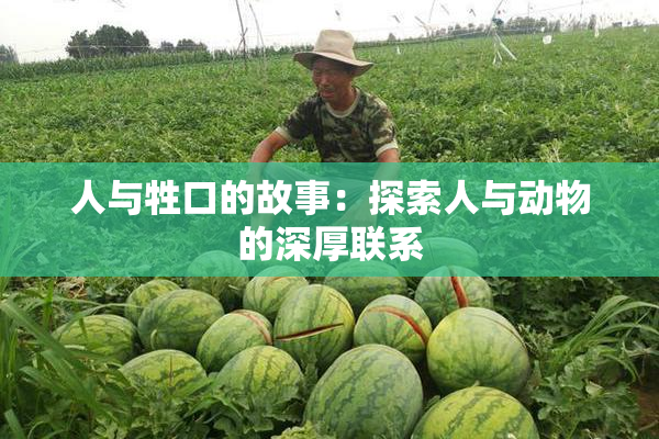 人与牲口的故事：探索人与动物的深厚联系