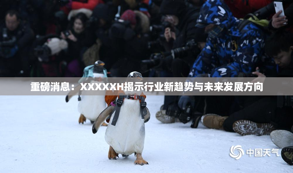 重磅消息：XXXXXH揭示行业新趋势与未来发展方向