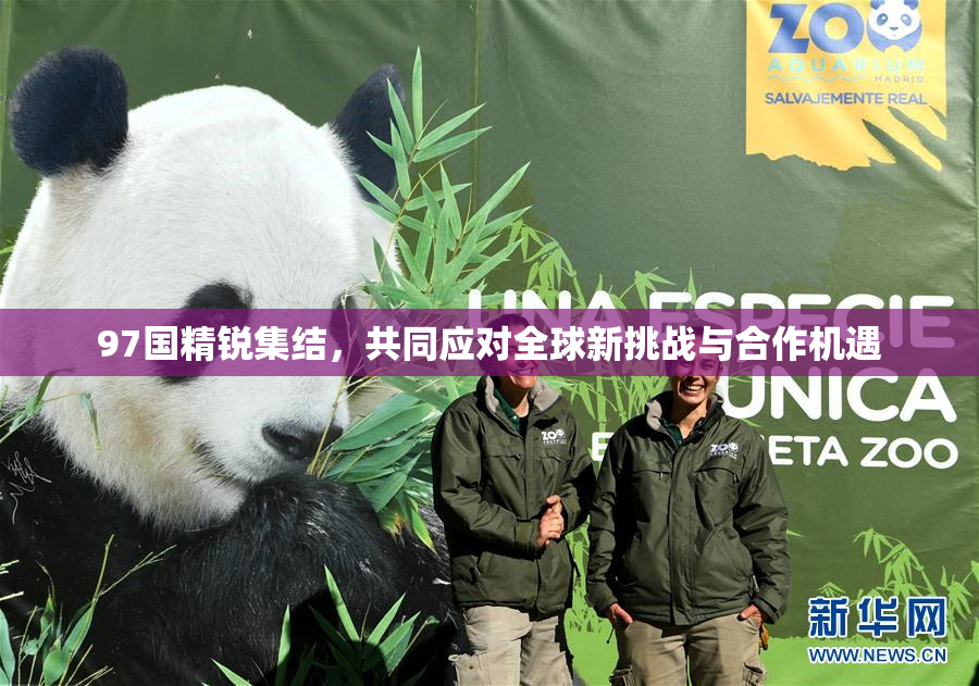 97国精锐集结，共同应对全球新挑战与合作机遇