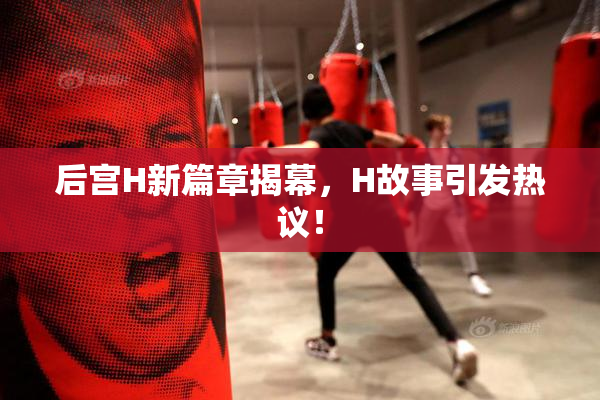 后宫H新篇章揭幕，H故事引发热议！