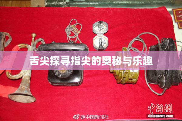 舌尖探寻指尖的奥秘与乐趣