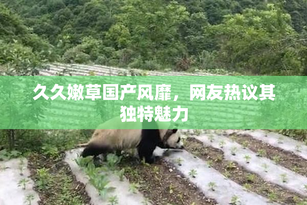 久久嫩草国产风靡，网友热议其独特魅力