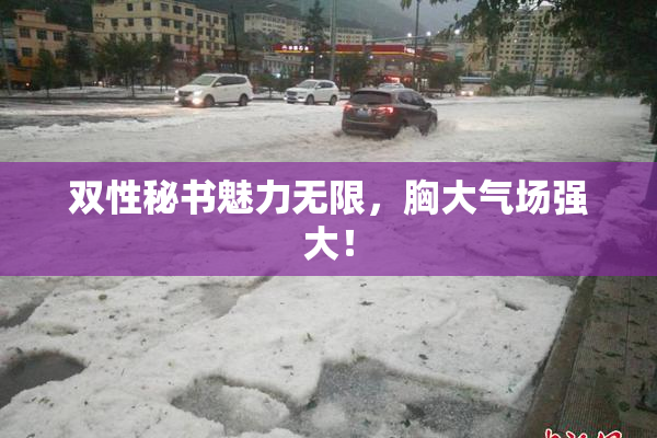 双性秘书魅力无限，胸大气场强大！