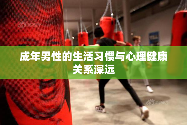 成年男性的生活习惯与心理健康关系深远