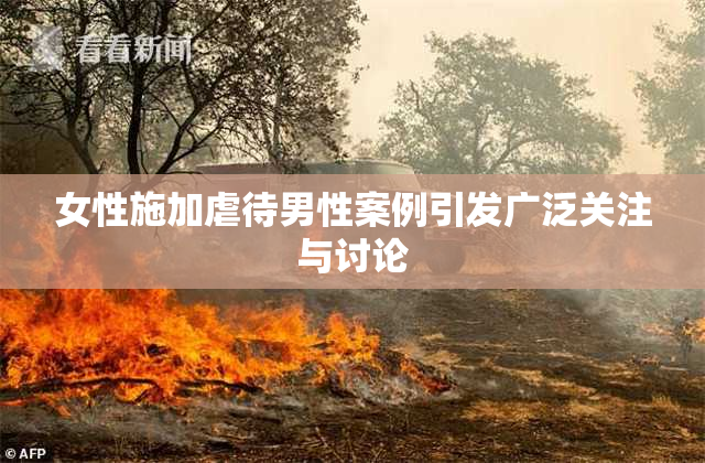 女性施加虐待男性案例引发广泛关注与讨论