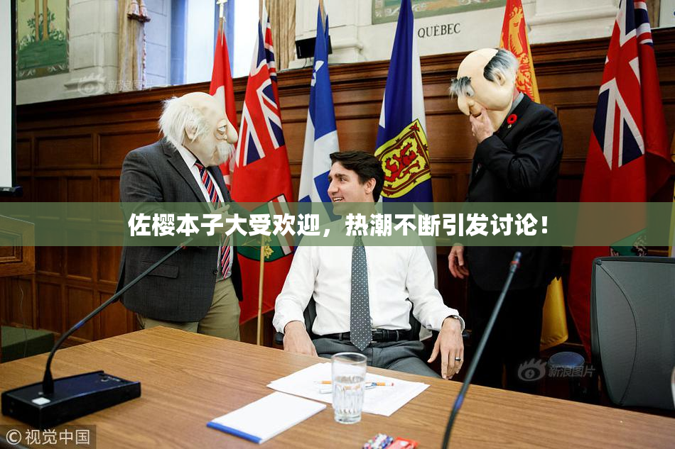 佐樱本子大受欢迎，热潮不断引发讨论！
