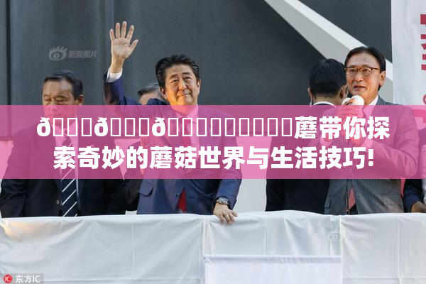 🍆🍑🔞❌‌❌‌❌‌蘑带你探索奇妙的蘑菇世界与生活技巧!