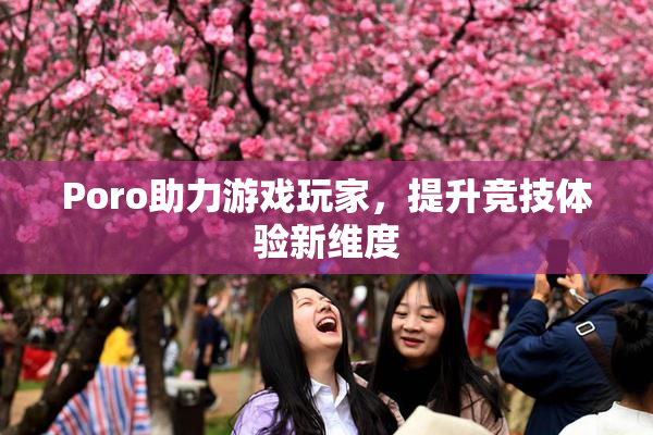 Poro助力游戏玩家，提升竞技体验新维度