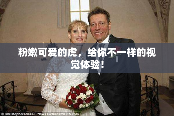 粉嫩可爱的虎，给你不一样的视觉体验！