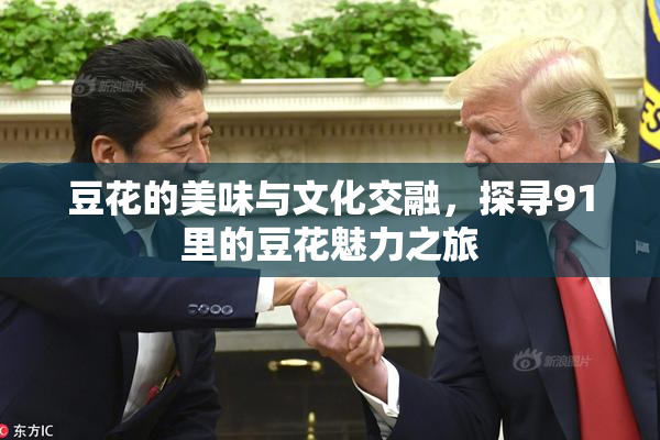 豆花的美味与文化交融，探寻91里的豆花魅力之旅