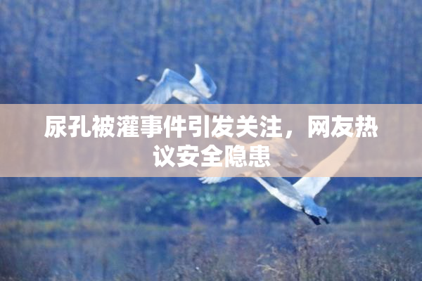 尿孔被灌事件引发关注，网友热议安全隐患