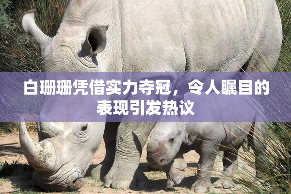 白珊珊凭借实力夺冠，令人瞩目的表现引发热议