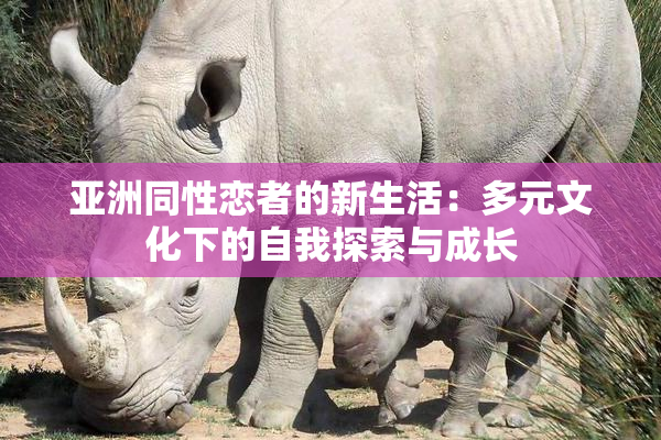 亚洲同性恋者的新生活：多元文化下的自我探索与成长