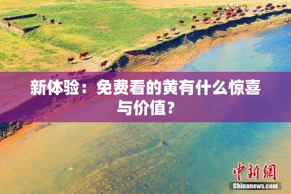 新体验：免费看的黄有什么惊喜与价值？