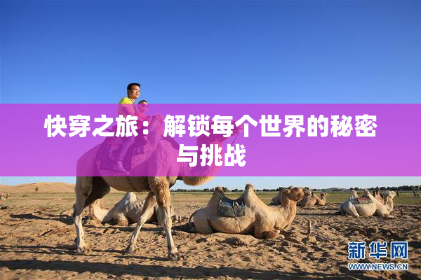 快穿之旅：解锁每个世界的秘密与挑战