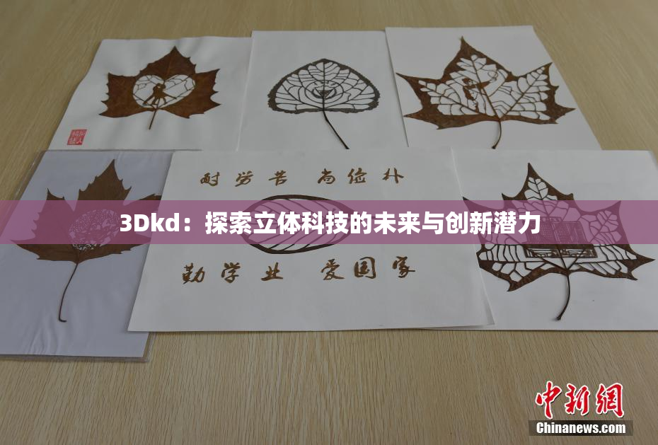 3Dkd：探索立体科技的未来与创新潜力