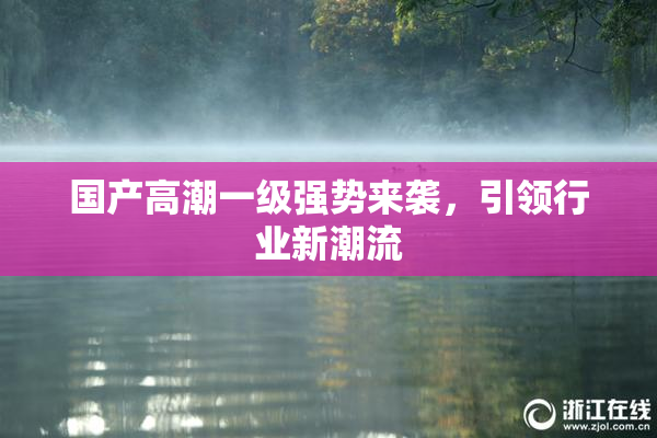 国产高潮一级强势来袭，引领行业新潮流
