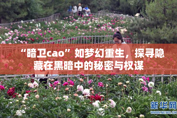 “暗卫cao”如梦幻重生，探寻隐藏在黑暗中的秘密与权谋